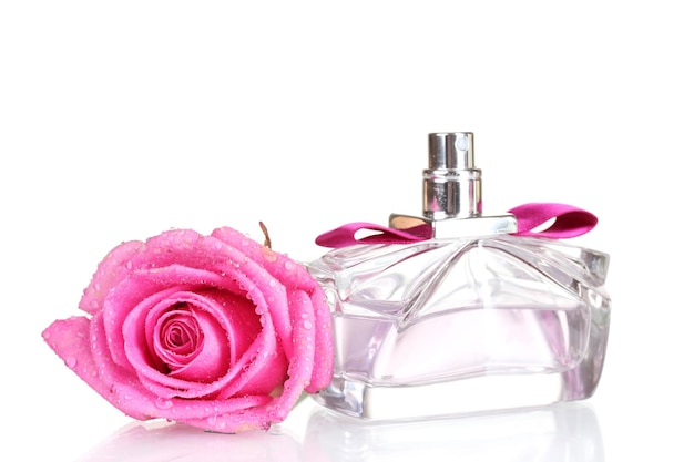 Parfum et roses roses sur fond blanc