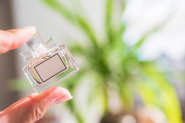 Photo parfum avec une sensation de transparence