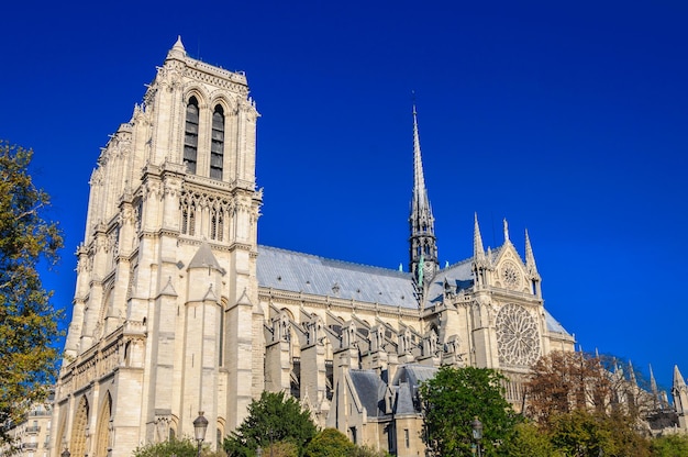 PARIS FRANCE 15 AVRIL 2019 Cathédrale Notre Dame de Paris France architecture gothique