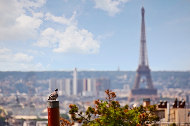 Paris skyline aérien de Montmartre