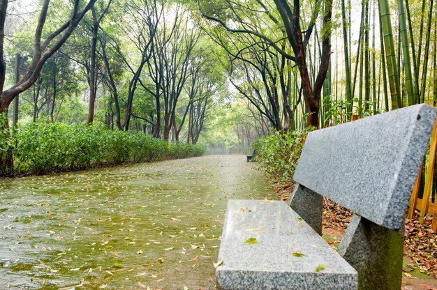 Park sous la pluie