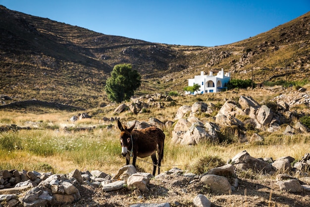 Paros, Grèce