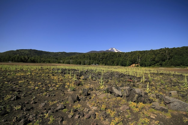 Parque Nacional Conguillo Chili