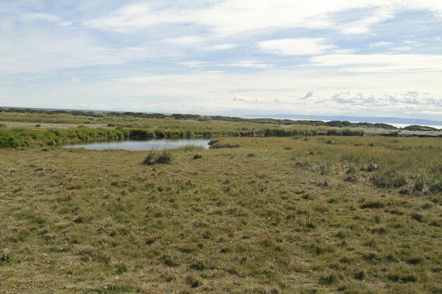 Parque Pinguino Rey King Penguin park en Terre de Feu