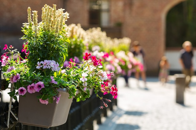 Parterre de fleurs dans la rue, ancienne ville européenne de province.