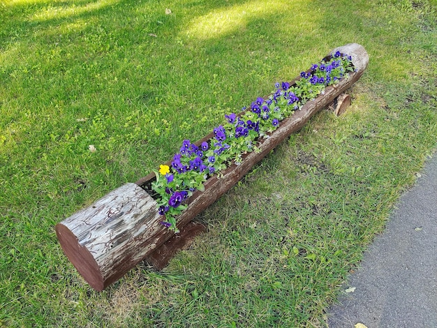 Un parterre de fleurs décoratif avec des fleurs d'un rondin de bois taillé à la main allongé sur la pelouse