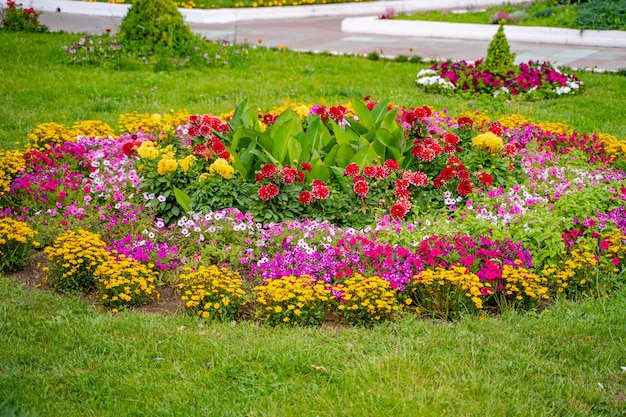 Parterre de fleurs jaunes et rouges. Aménagement paysager. Fleurs colorées.