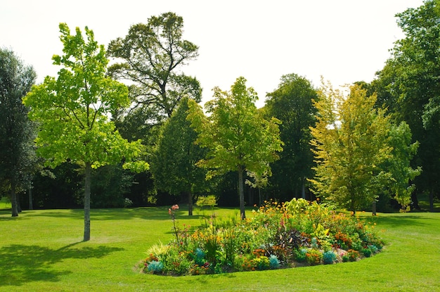 Parterre de fleurs