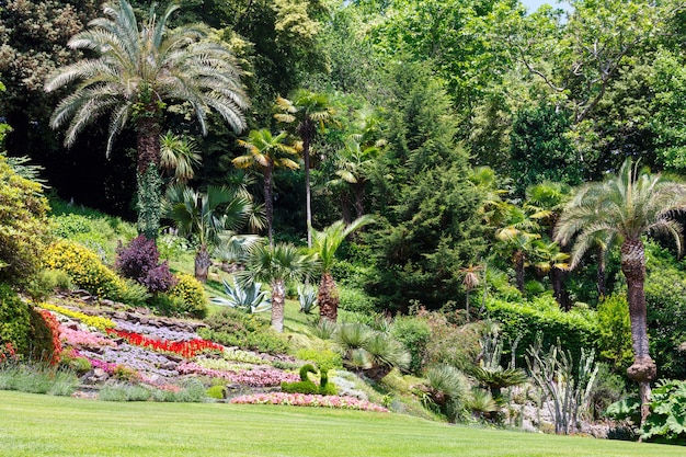 Parterres de fleurs et palmiers colorés en fleurs dans le parc de la ville d'été