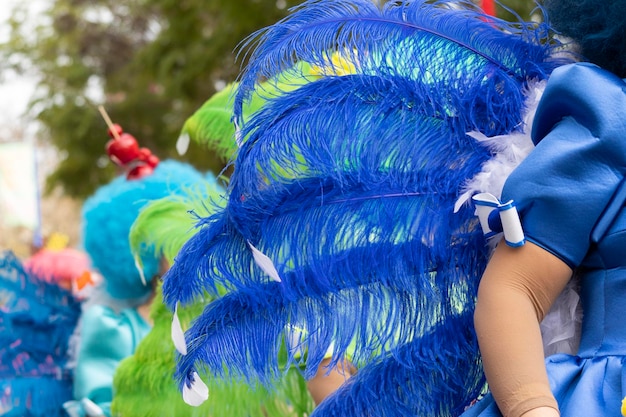 Participants au festival du défilé de carnaval