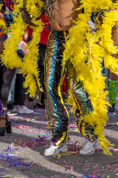 Participants au festival du défilé de carnaval