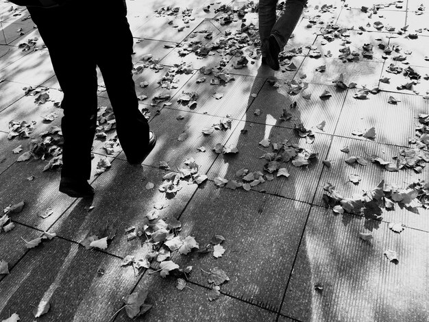 Photo la partie basse des gens qui marchent dans la rue par les feuilles tombées