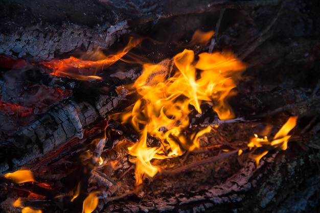 Une partie du feu de camp de nuit