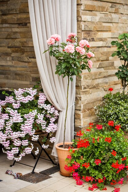 Une partie du mur de briques de la maison et les pots de fleurs à côté