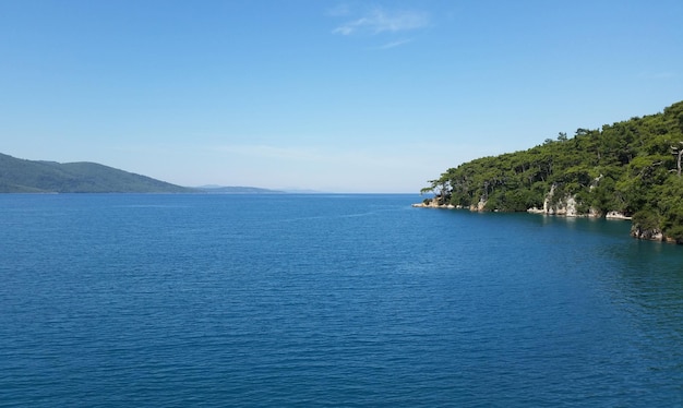 Une partie du paradis avec des arbres bleus et un ciel bleu