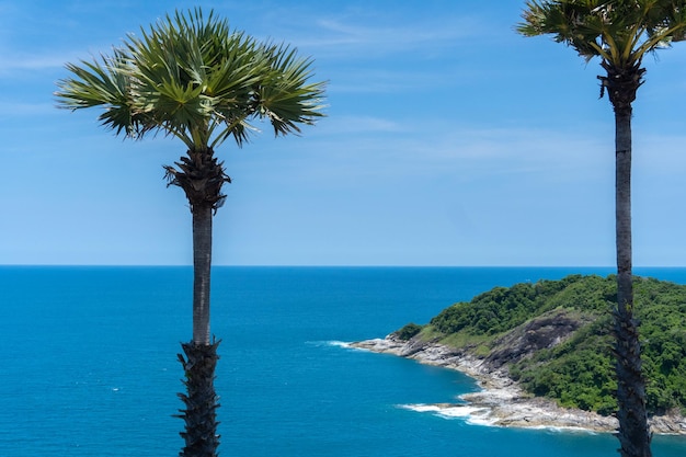Photo la partie du paysage de l'île se dresse un couple de palmiers tripiques avec l'océan bleu profond et la somme claire