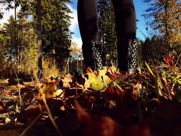 La partie inférieure d'une femme debout sur un champ couvert de feuilles en automne