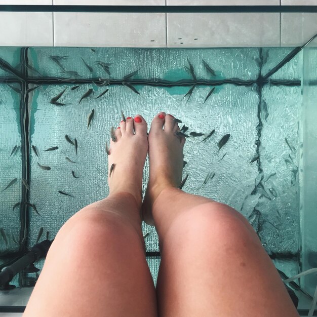 La partie inférieure d'une femme recevant un massage de poisson dans une piscine