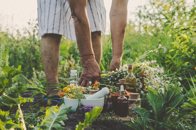 La partie inférieure de l'homme debout au milieu des plantes