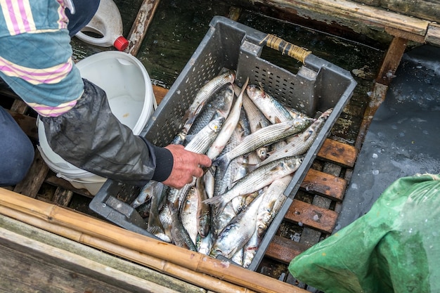 Photo la partie inférieure de l'homme debout près du poisson