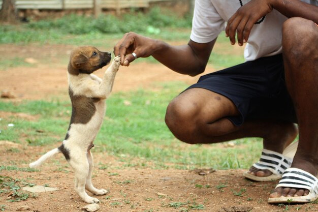 Photo la partie inférieure de l'homme tenant un chiot alors qu'il s'accroupit sur la terre