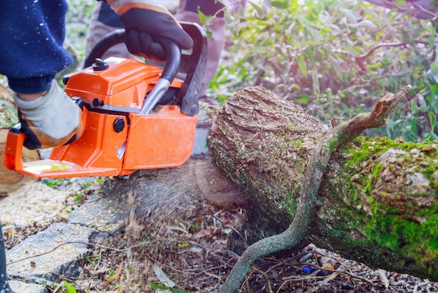 Photo la partie inférieure de l'homme travaillant sur un chantier de construction