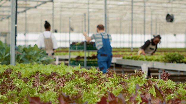 La partie inférieure de l'homme travaillant dans le jardin