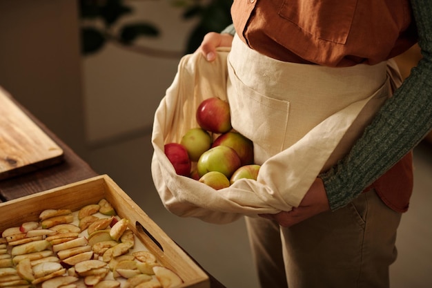 Partie inférieure d'une jeune fille portant un tas de pommes de jardin fraîches et mûres dans un tablier