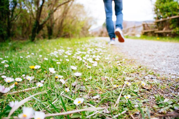 Photo la partie inférieure d'une personne qui marche sur la route