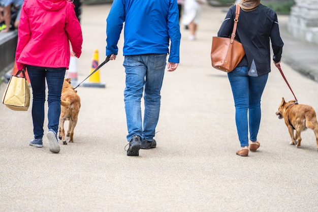 Photo la partie inférieure des personnes qui promènent leur chien