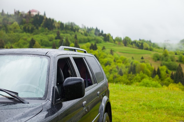 Une partie de la jeep noire debout sur le champ vert entouré de forêt