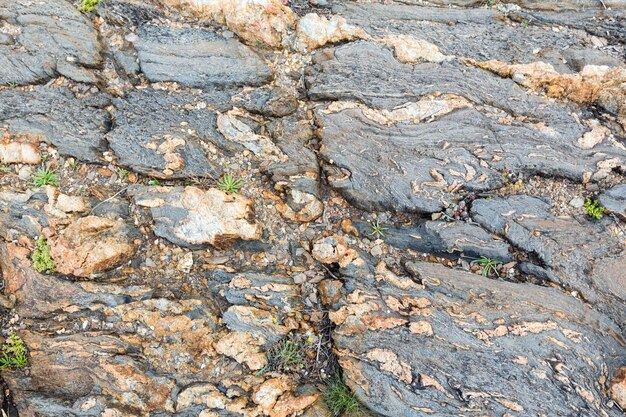 Une partie de la roche se bouchent. Fond naturel.