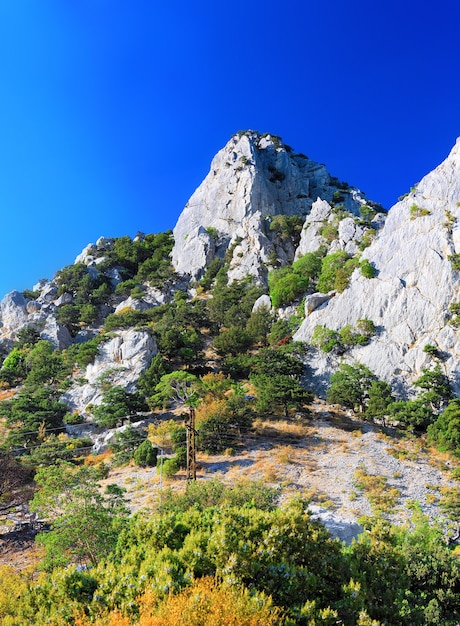 Partie sud de la péninsule de Crimée, paysage de montagnes Ai-Petri. Ukraine.