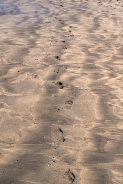 Des pas dans le sable d'une plage