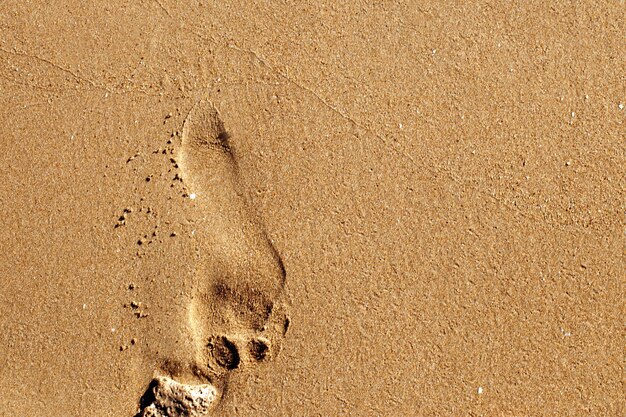 un pas humain sur une plage de sable. fond d'été