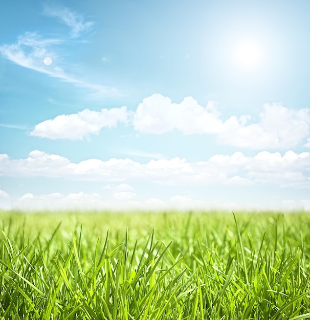 pas d'humains ciel paysage nuageux extérieur jour herbe ciel bleu champ