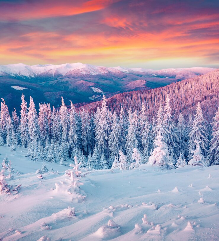 Photo pas d'humains paysage en plein air neige arbre ciel montagne nuages nature coucher du soleil forêt hiver pin