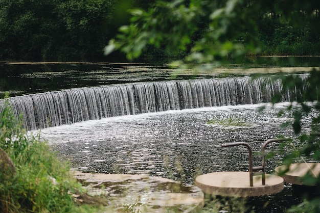 Pasig belle forêt verte un pont avec reflet dans l'eau