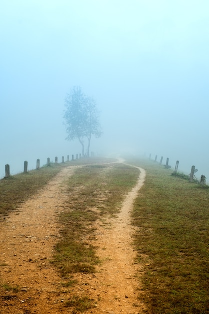 Passage dans la brume.