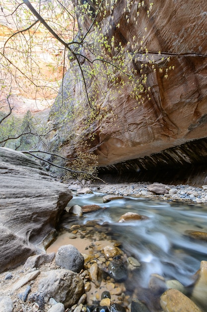 Les passages étroits, le parc national de Zion, États-Unis