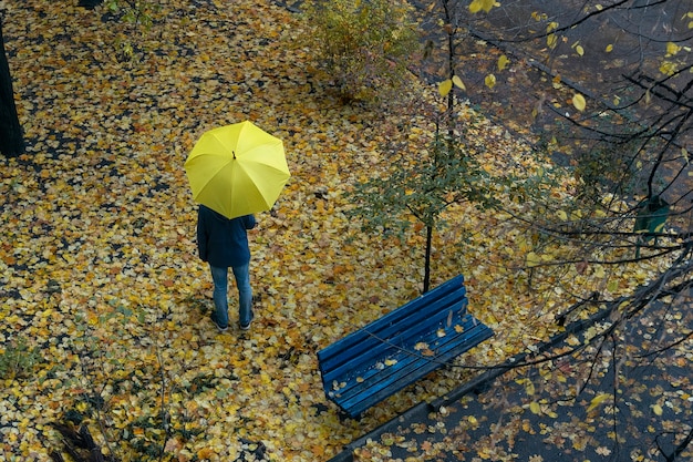 Les passants dans la rue sous le parapluie le jour d'automne pluvieux. Vue de dessus.