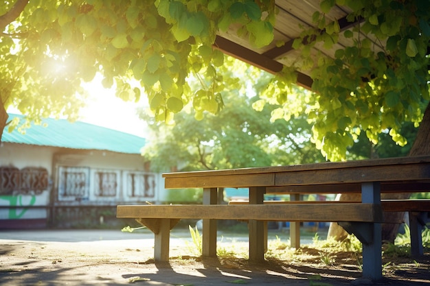 Le passé scolaire de Schoolyard Serenity