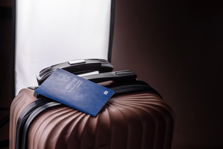 Photo passeport international d'un citoyen de corée du sud sur une valise
