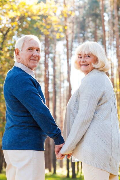 Passer du temps ensemble. Vue arrière de l'heureux couple de personnes âgées se tenant la main et regardant par-dessus l'épaule en marchant ensemble dans le parc