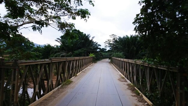 Une passerelle au milieu des arbres contre le ciel