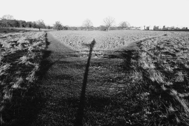 Photo une passerelle au milieu d'un champ d'herbe contre le ciel