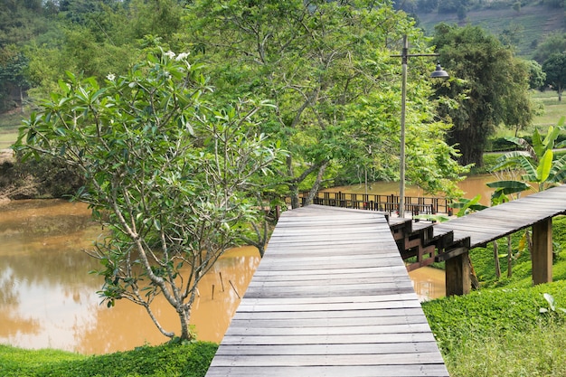 Passerelle en bois au jardin tropical