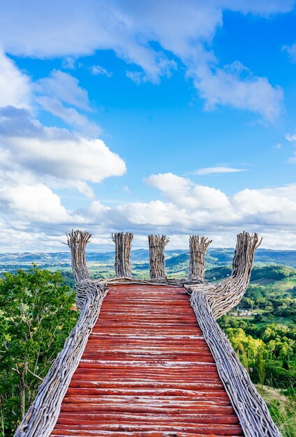 Photo une passerelle en bois au milieu des plantes et des arbres contre le ciel