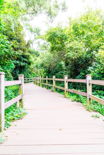 Photo passerelle en bois au parc seaseom sur l'île de jeju