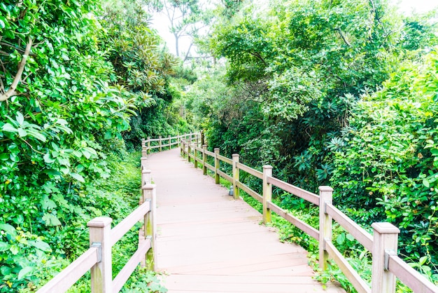 Passerelle en bois au parc Seaseom sur l&#39;île de Jeju